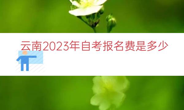 云南2023年自考报名费是多少（云南自考报名费多少）