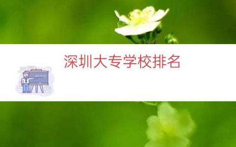 深圳大专学校排名（深圳的大专院校）