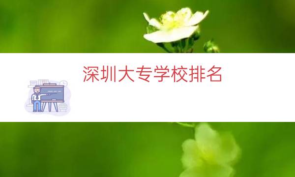 深圳大专学校排名（深圳的大专院校）