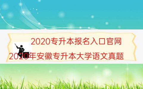 2020专升本报名入口官网（2020年安徽专升本大学语文真题）