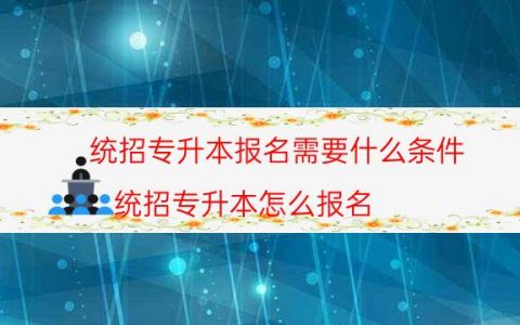 统招专升本报名需要什么条件（统招专升本怎么报名）