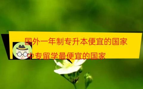 国外一年制专升本便宜的国家（中专留学最便宜的国家）