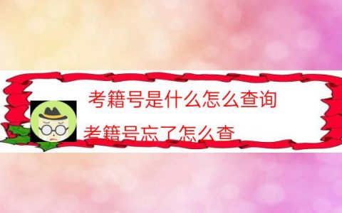考籍号是什么怎么查询（考籍号忘了怎么查）