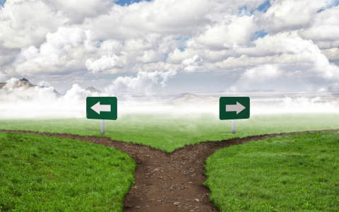 第一学历低怎么提升（学历低补救的四大措施）