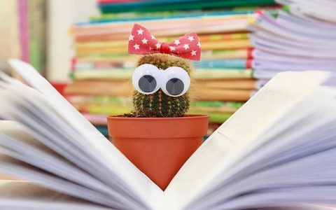 一般自考本科多少钱啊（自考本科报名费一门多少钱 ）