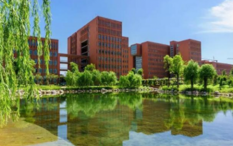 本科学历与大专学历差别大吗（大专和本科学历的差距）