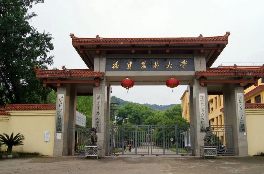 福建师范大学排名全国排名（福建最好的高校排行榜前十名）