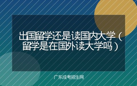 出国留学还是读国内大学（留学是在国外读大学吗）