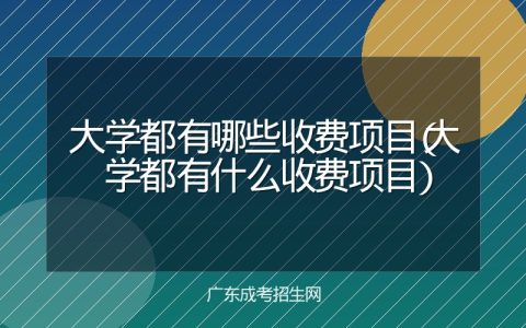 大学都有哪些收费项目（大学都有什么收费项目）