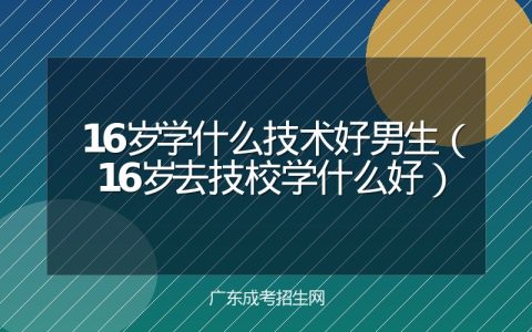 16岁学什么技术好男生（16岁去技校学什么好）