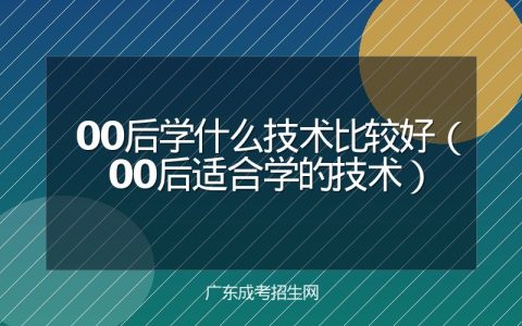 00后学什么技术比较好（00后适合学的技术）