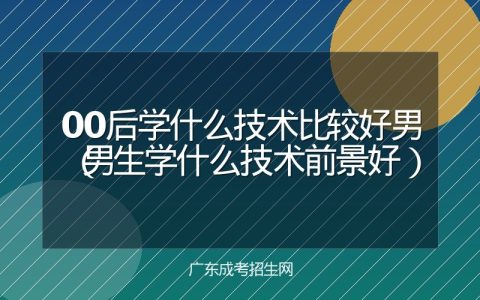 00后学什么技术比较好男（男生学什么技术前景好）