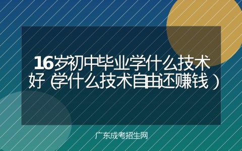 16岁初中毕业学什么技术好（学什么技术自由还赚钱）