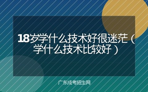 18岁学什么技术好很迷茫（学什么技术比较好）