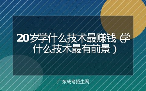 20岁学什么技术最赚钱（学什么技术最有前景）
