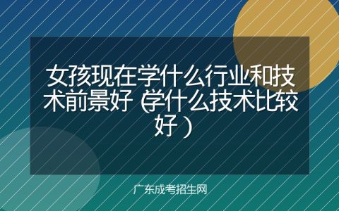 女孩现在学什么行业和技术前景好（学什么技术比较好）