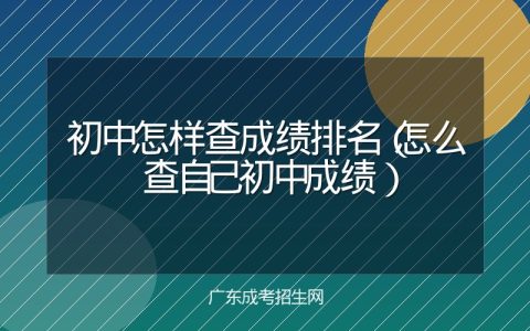 初中怎样查成绩排名（怎么查自己初中成绩）