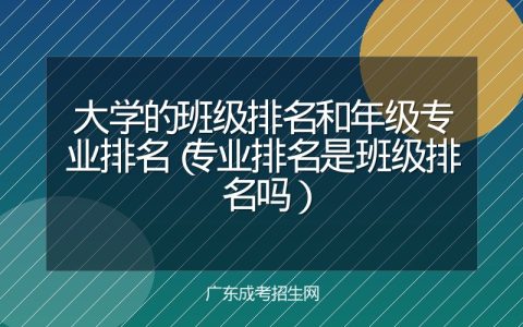 大学的班级排名和年级专业排名（专业排名是班级排名吗）