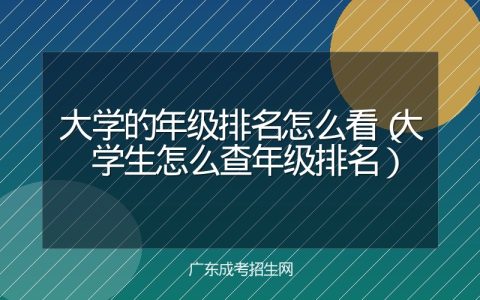 大学的年级排名怎么看（大学生怎么查年级排名）