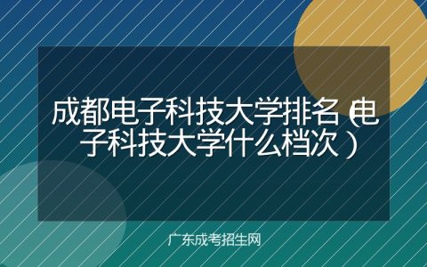 成都电子科技大学排名（电子科技大学什么档次）