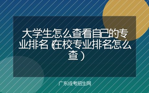 大学生怎么查看自己的专业排名（在校专业排名怎么查）