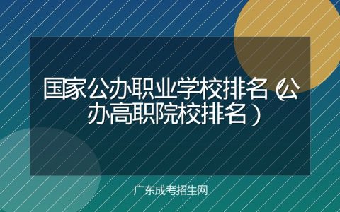 国家公办职业学校排名（公办高职院校排名）