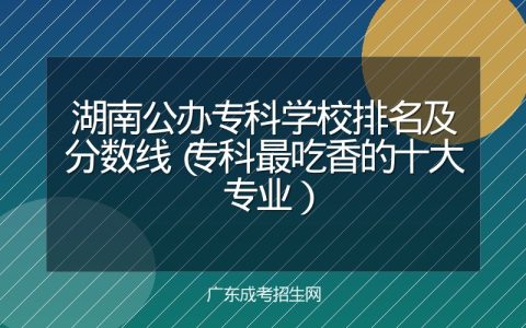 湖南公办专科学校排名及分数线（专科最吃香的十大专业）