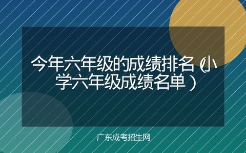 今年六年级的成绩排名（小学六年级成绩名单）
